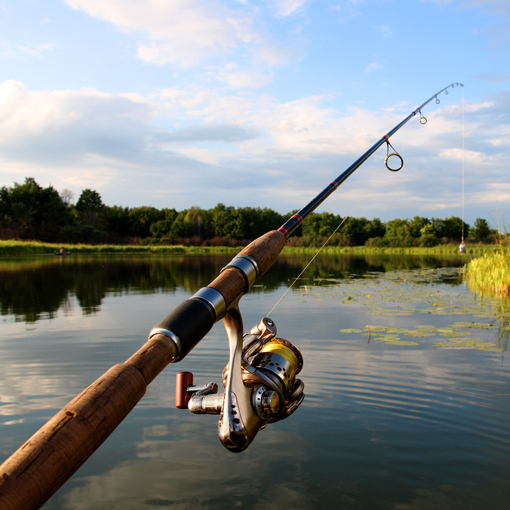 Fishing Tackle Direct – Fishing Tackle Shop Carlow